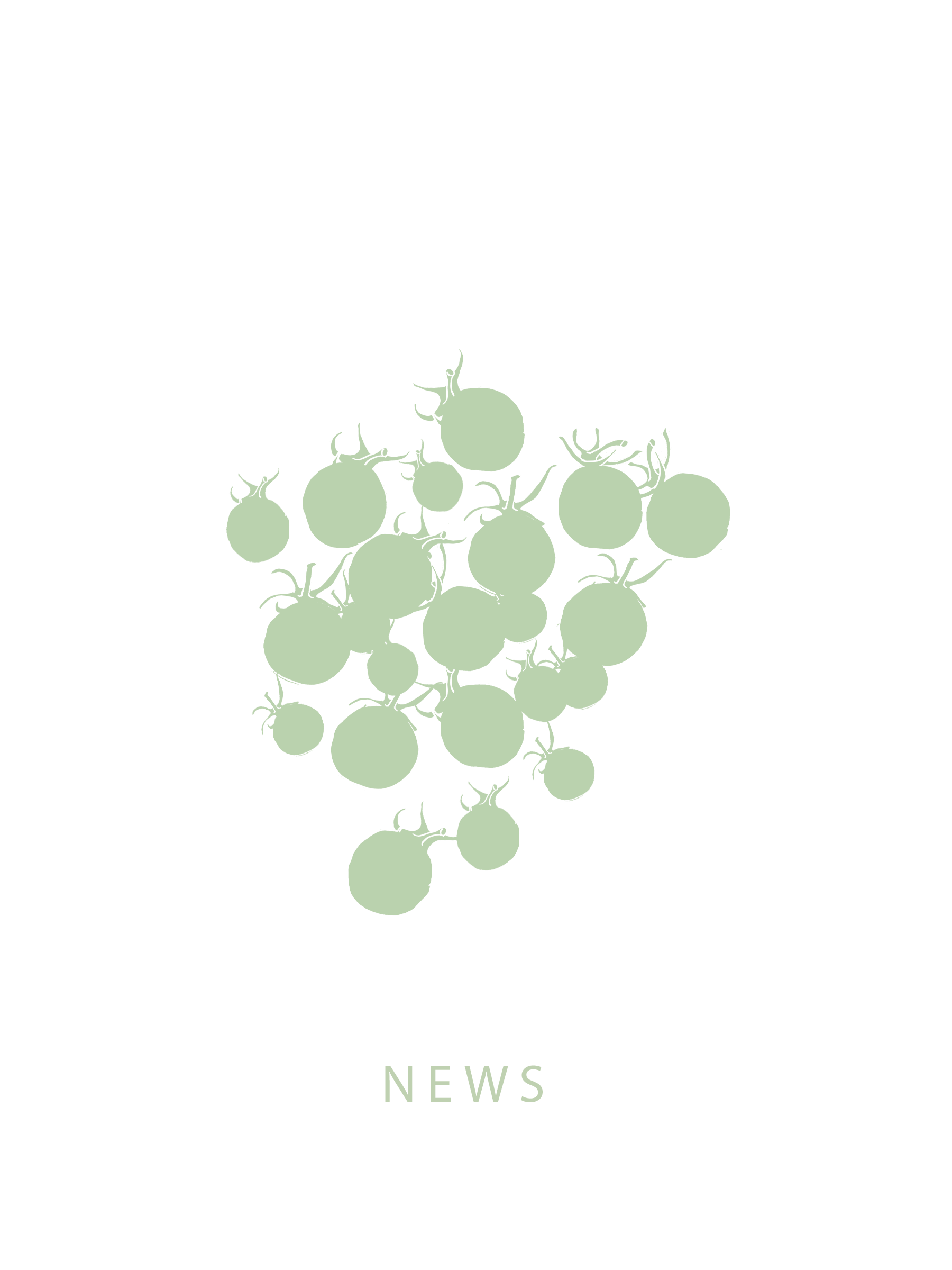 NEWS.png
