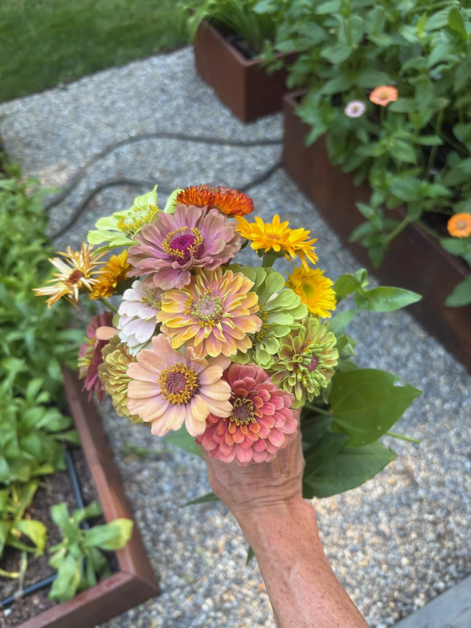 Adding herbs to your garden bouquets