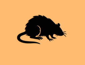 Silhouette of a rat on an orange background