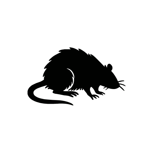 Silhouette of a bird with a long beak, possibly a hummingbird, in profile view.