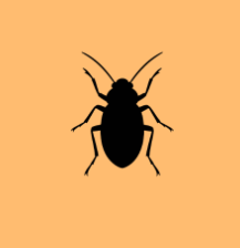 Silhouette of a bug on a peach-colored background.