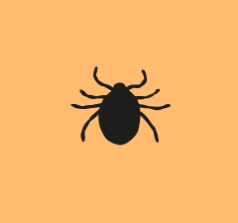 Silhouette of a tick on a peach-colored background.