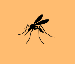 Silhouette of a mosquito on an orange background.
