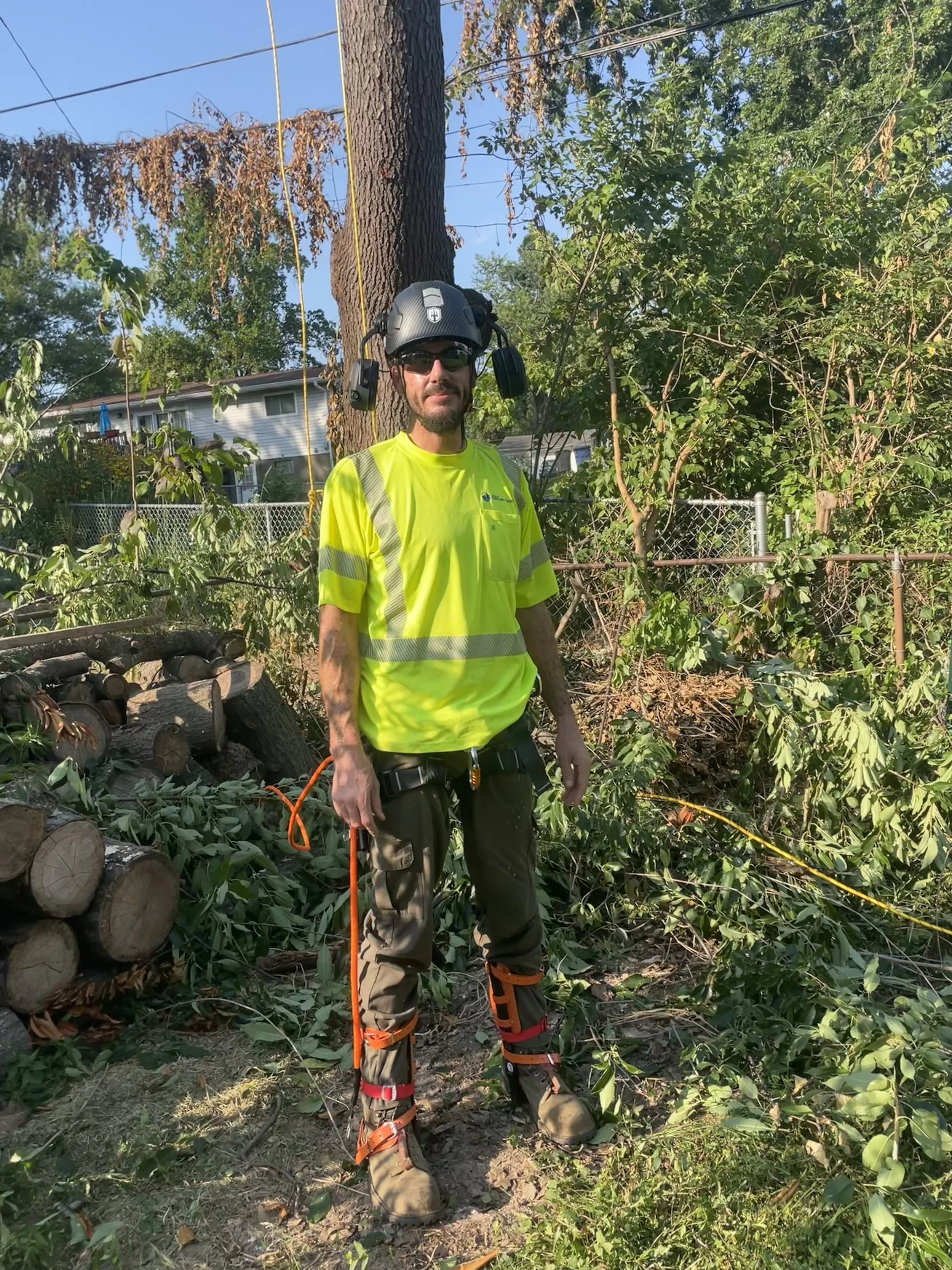 A man wearing a high-visibility yellow shirt, safety helmet, protective headphones, and work boots standing outdoors among fallen tree branches and logs after tree removal or maintenance work.