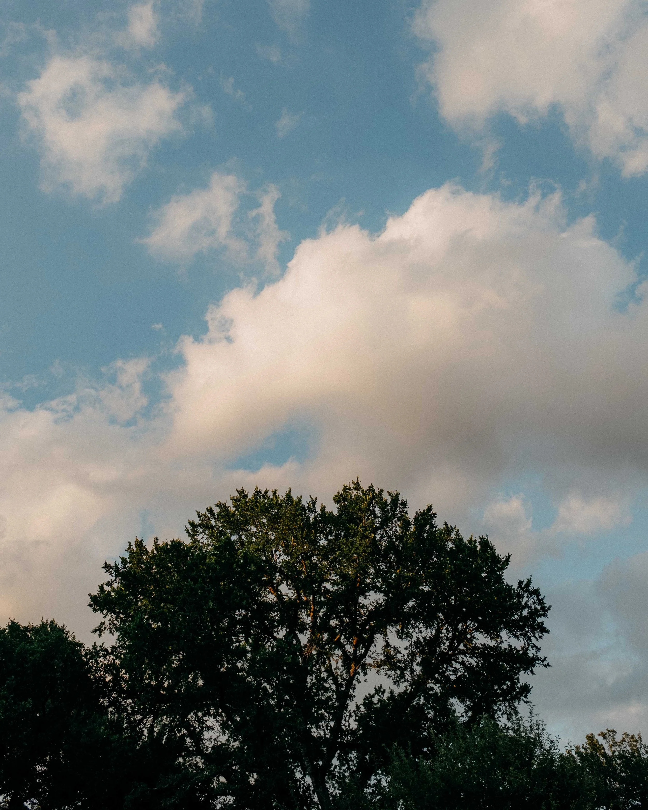 Oakie-43.jpg