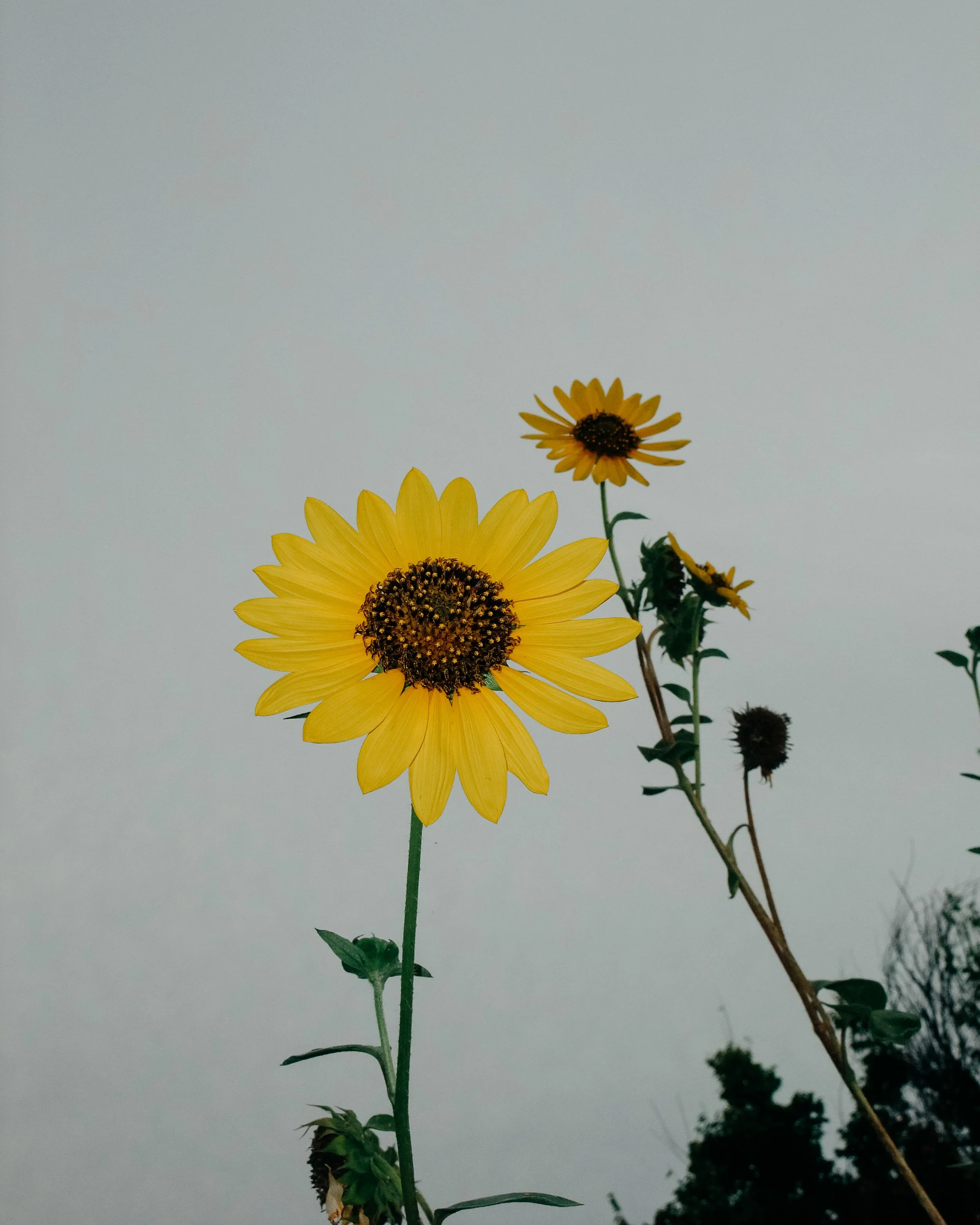 Photo Run 9-1.jpg