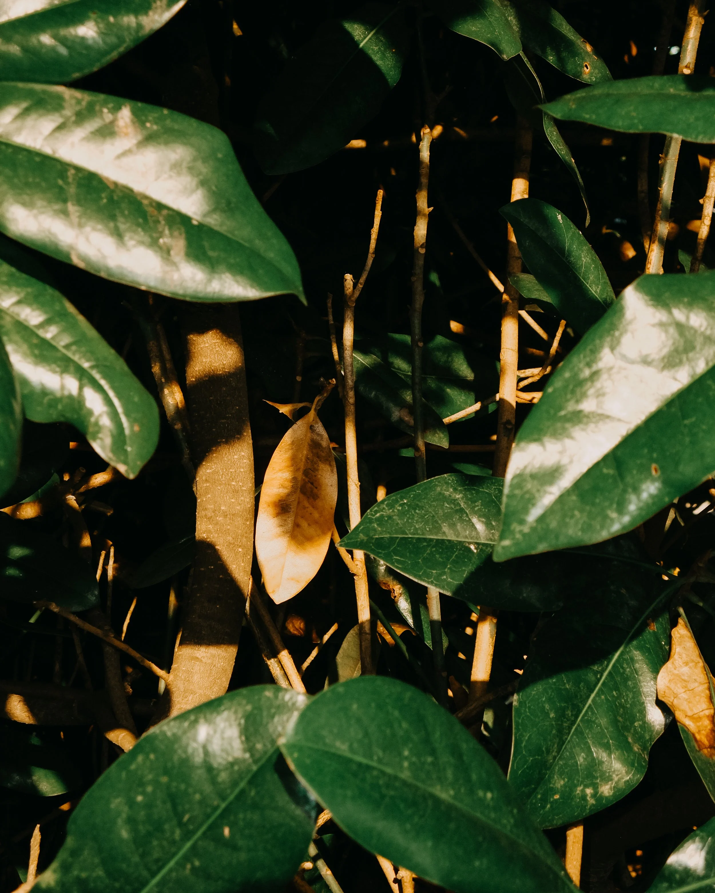 Photo Run 3_PRINT-3.jpg