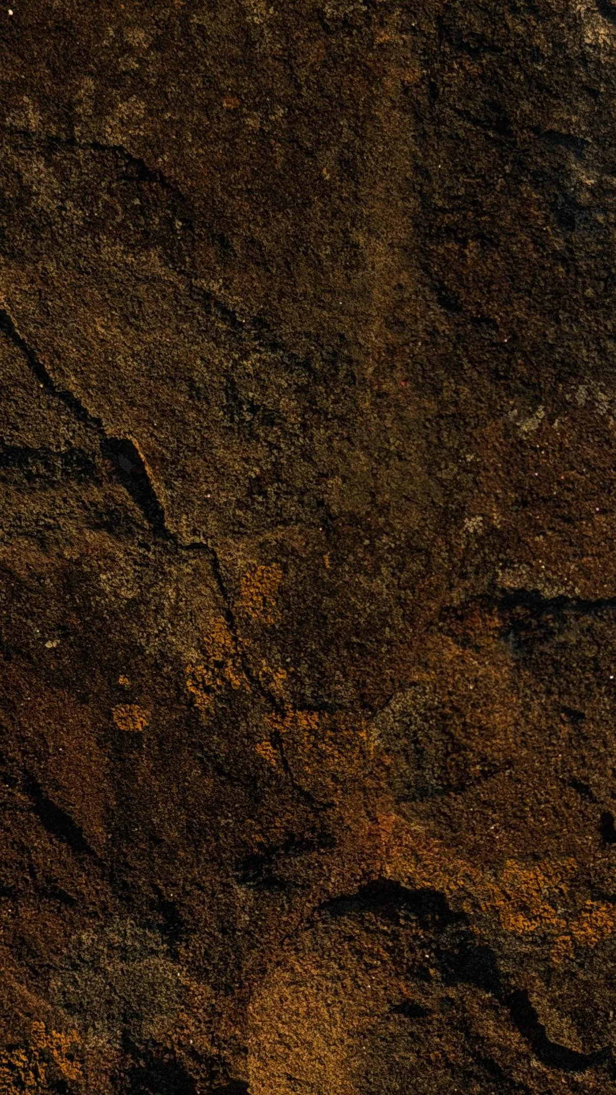 71237F0E-B3A5-4330-B09E-A69AEFBF3F05.JPG
