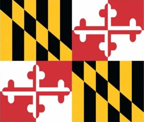 A repeating pattern of the Maryland state flag's design, showing alternating squares with the black and yellow diagonal stripes and the red and white cross bottony symbols.