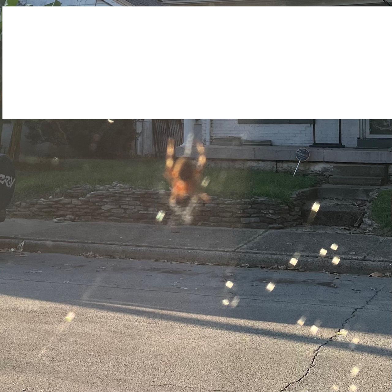 Orb Spider (neurotic instructions)