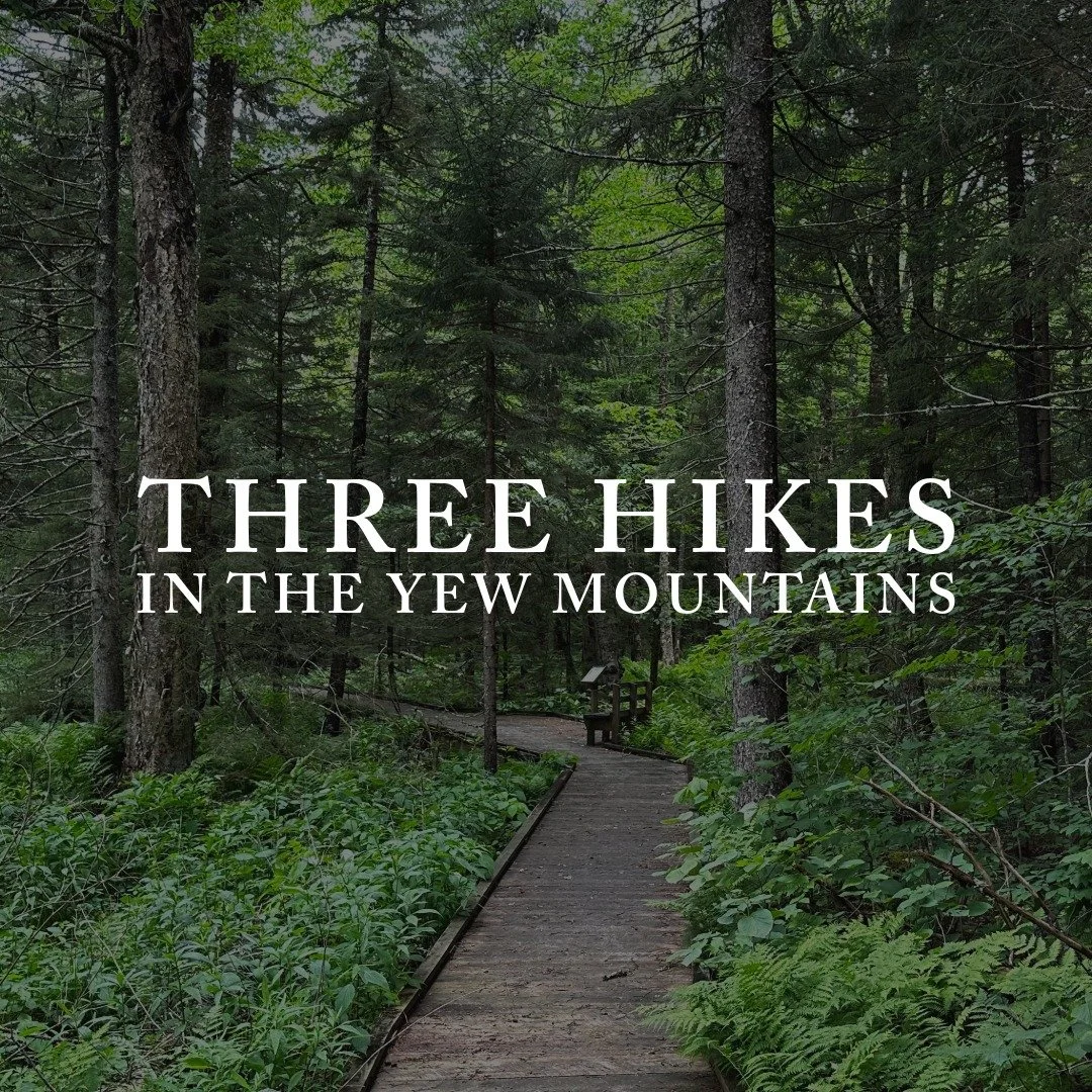 THREE HIKES IN THE YEW MOUNTAINS.jpeg