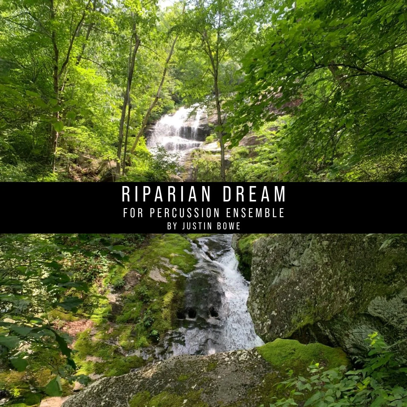 RIPARIAN DREAM for percussion ensemble [digital download]