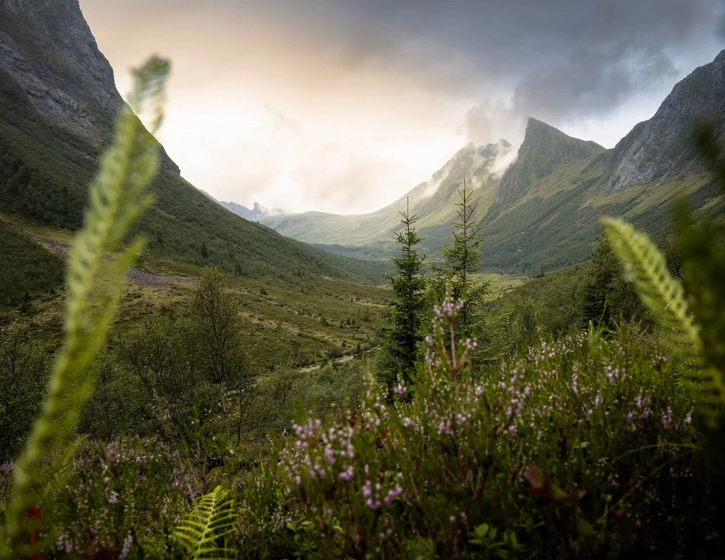 Never getting tired of this valley 🙌
www.larsculven.com 
.
.
.
#nikon #nikonshooter #splendid_mountains #mountaineering #moodylandscape #moodyshots #nikonz6 #sunnm&oslash;re #sunnm&oslash;rsalpane #norway #landscape_captures #landscape_brilliance #n