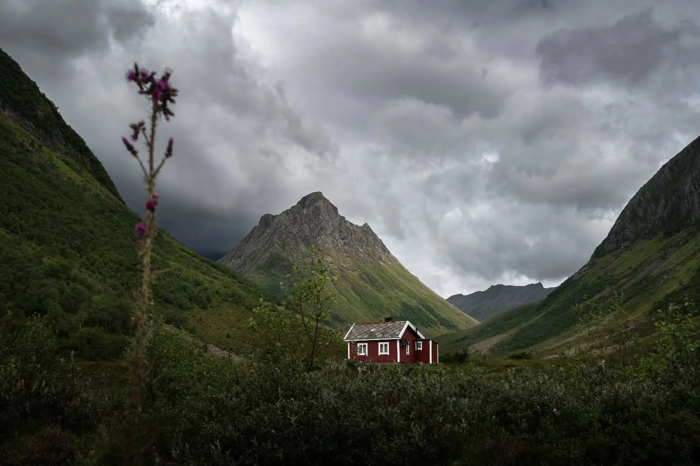 I like this type of scenery 🙌
www.larsculven.com 
.
.
.
#moodylandscape #nomadict #splendid_mountains #alpscape #norway #nikon #landscapeofnorway #nikonshooter #landscape_captures #nikonz6 #moodygrams #artlandscape #artofvisuals #vestlandet #veggbil