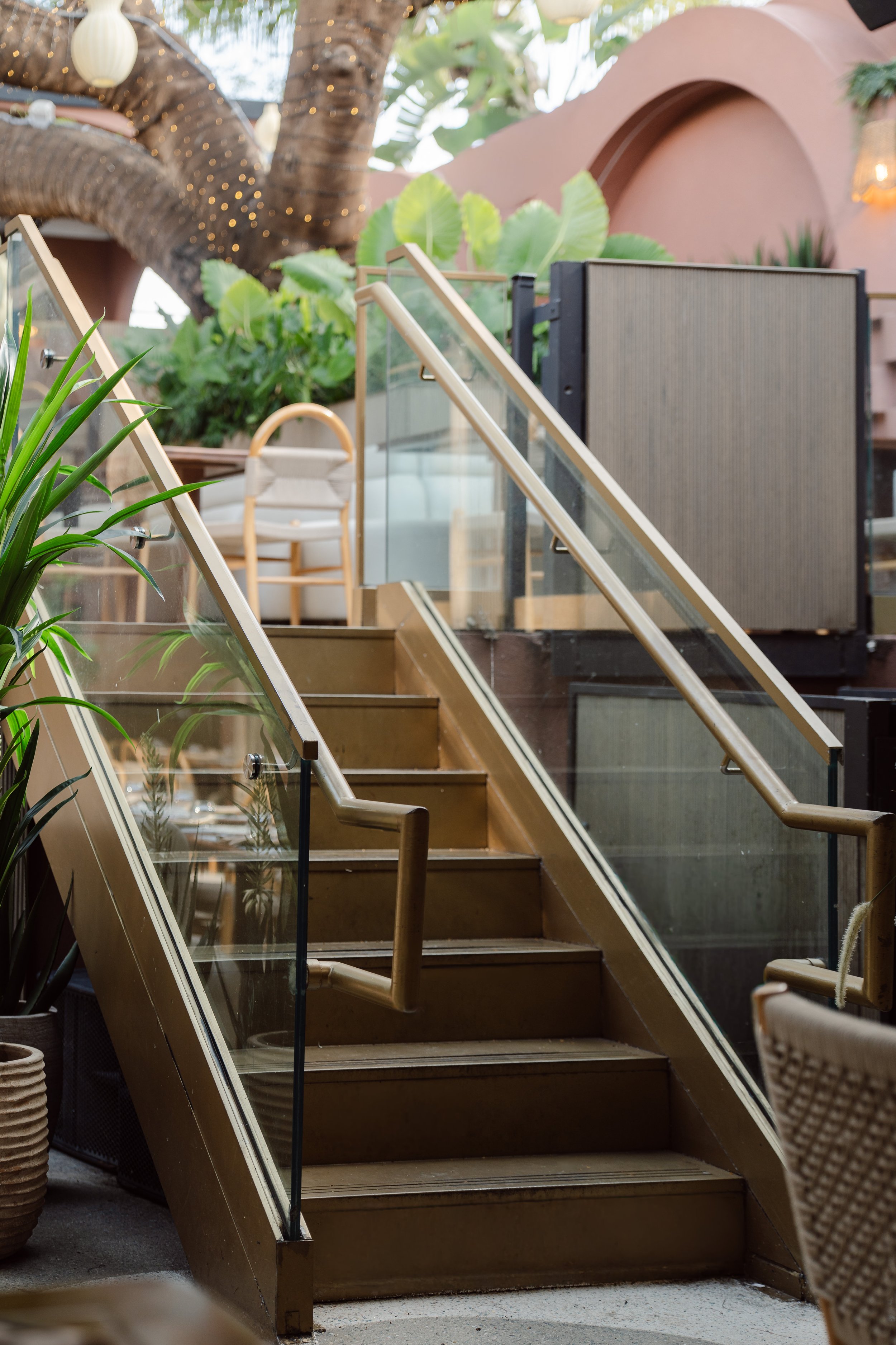 Outdoor staircase with glass sides and wooden steps, surrounded by potted plants and greenery. A large tree with string lights is in the background, along with a pink building and outdoor furniture.