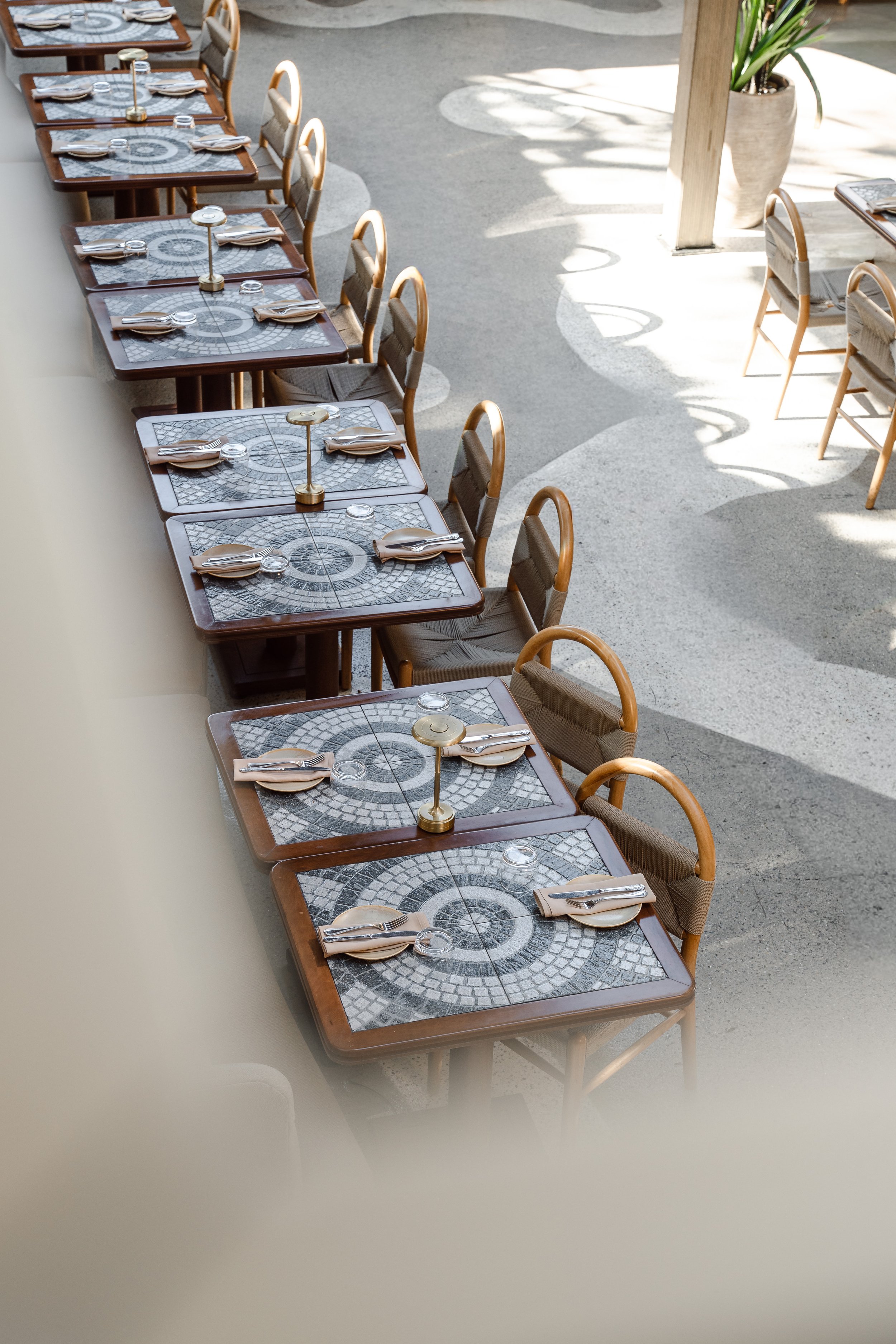 Empty outdoor restaurant tables set with napkins, plates, and glasses, with chairs neatly arranged, sunlight casting shadows, and a large potted plant in the background.