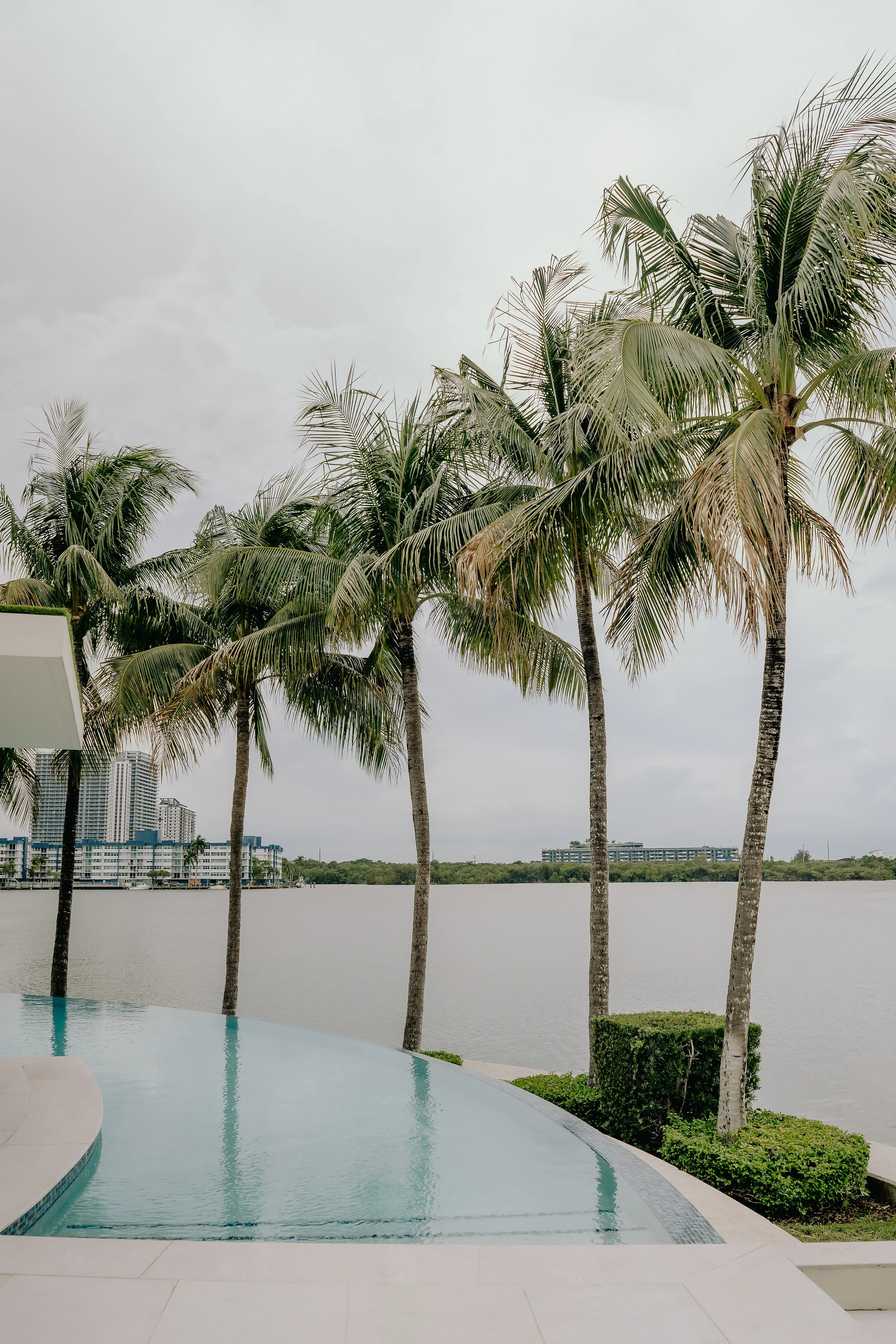 View of palm trees near a body of water with city buildings in the background, cloudy sky overhead.