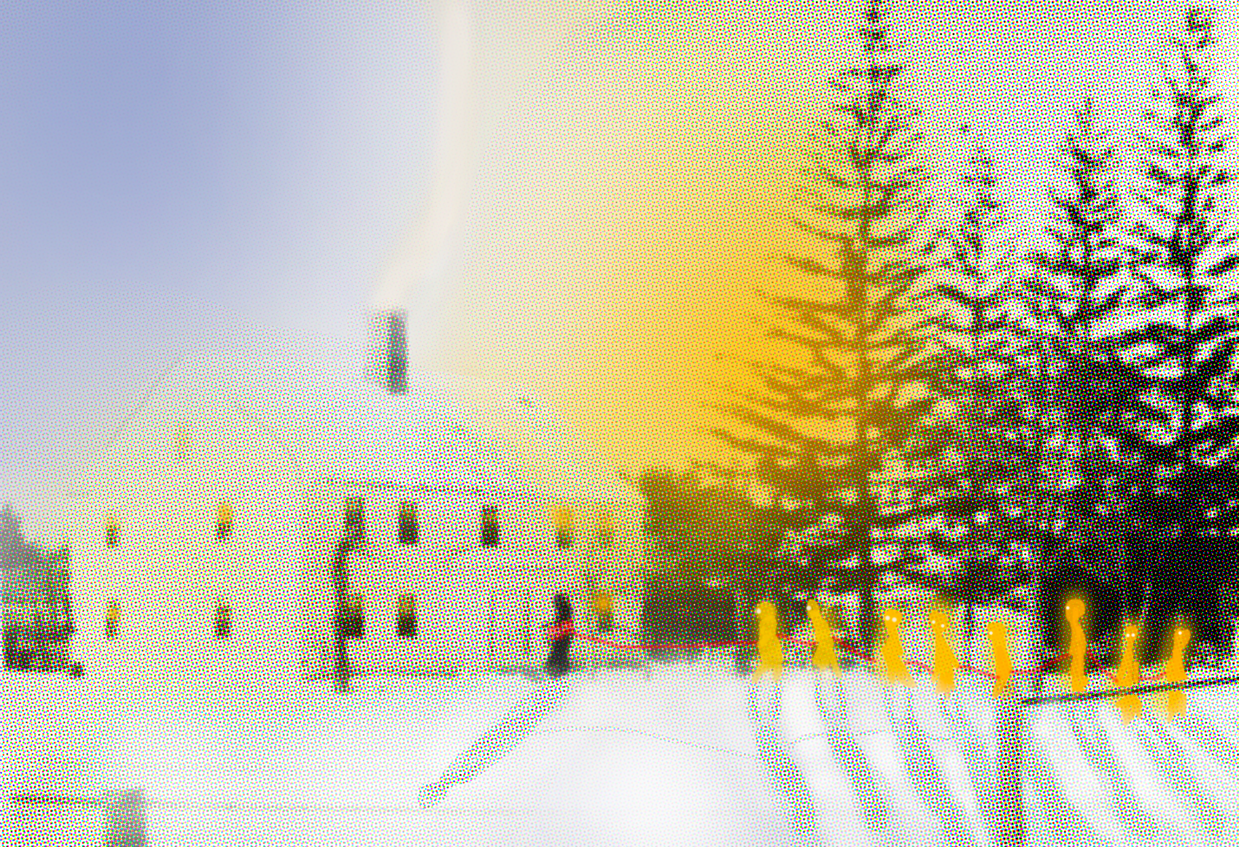 IMG_7931.png