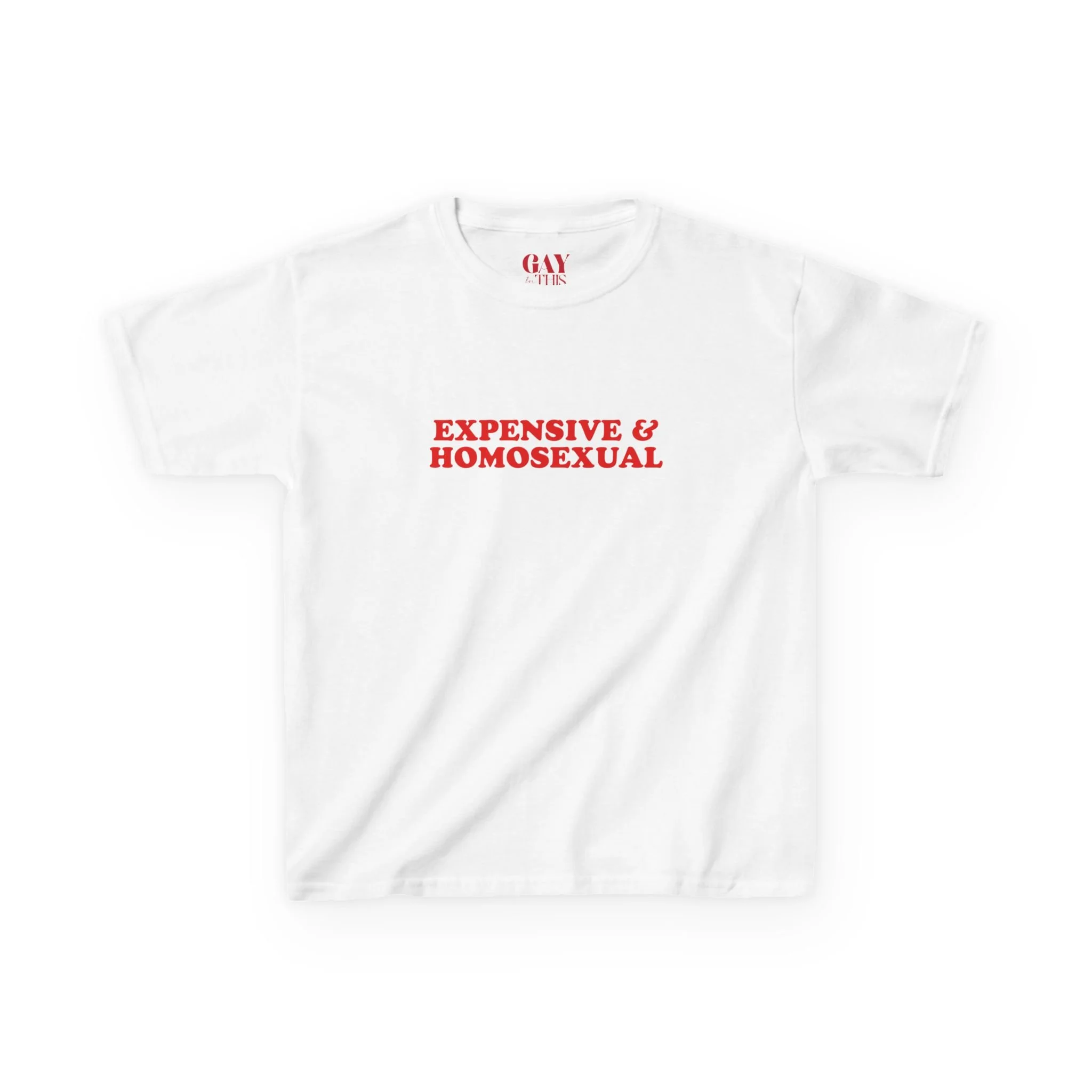 Expensive & Homosexual Baby Tee