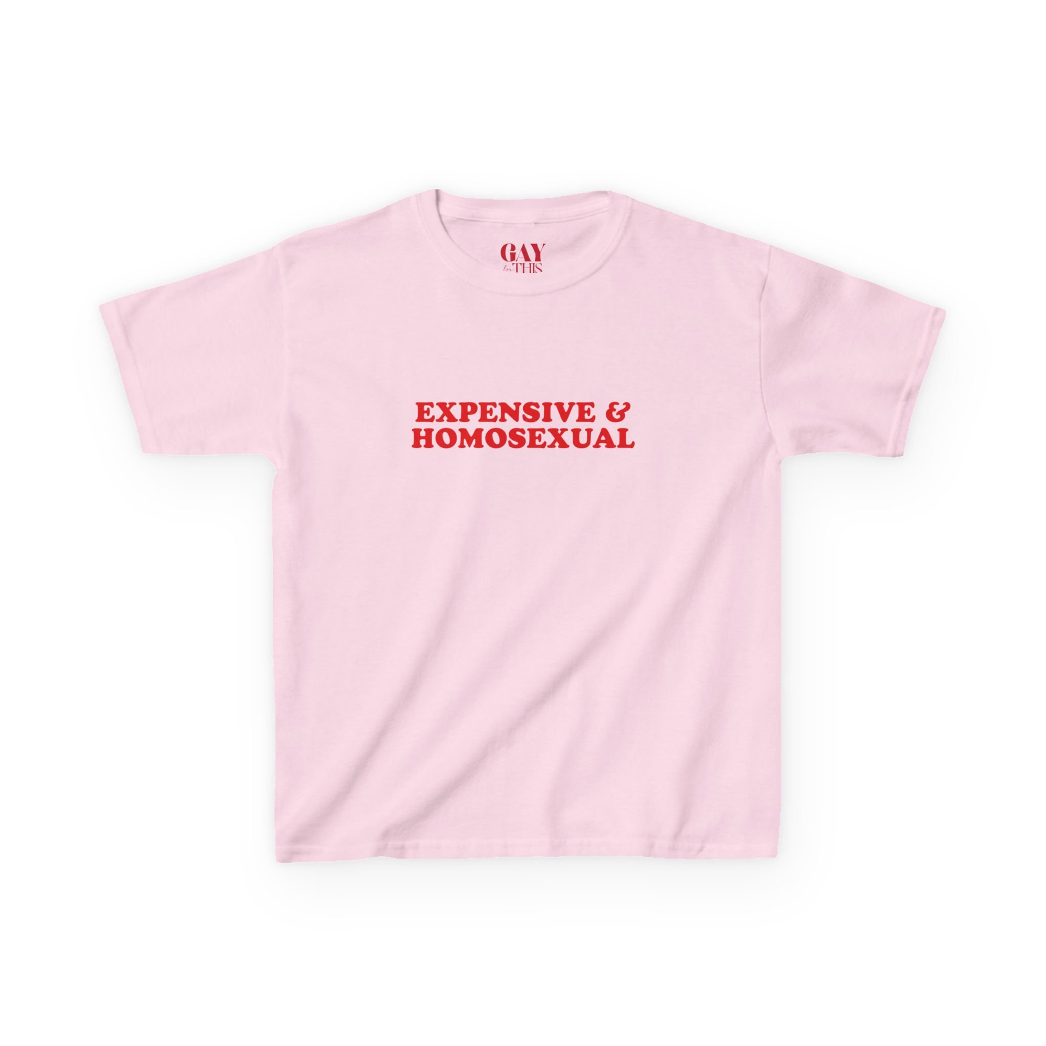 Expensive & Homosexual Baby Tee