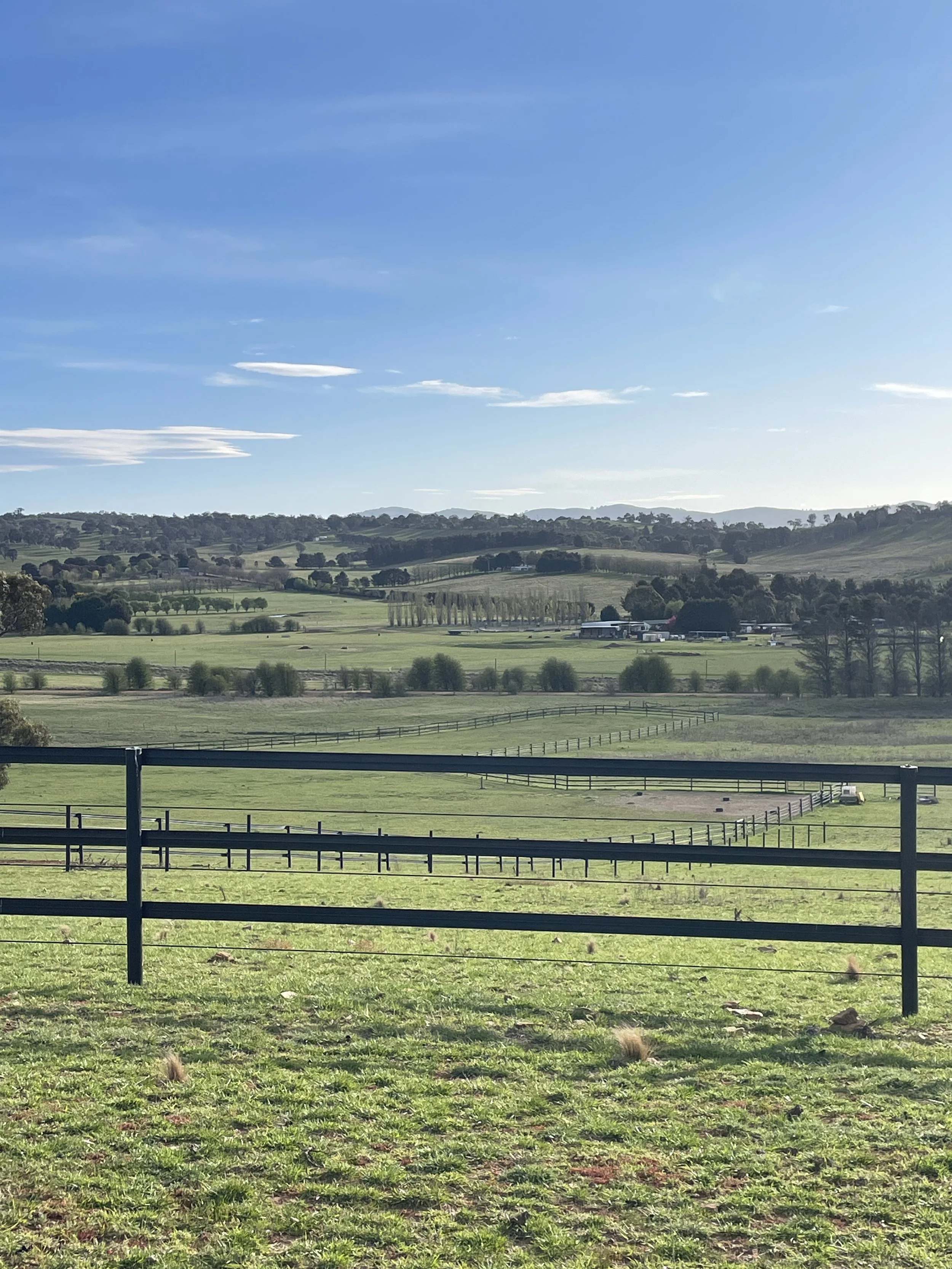 Strong Foundations: Completing our First 10 Acres of fencing at Belridge