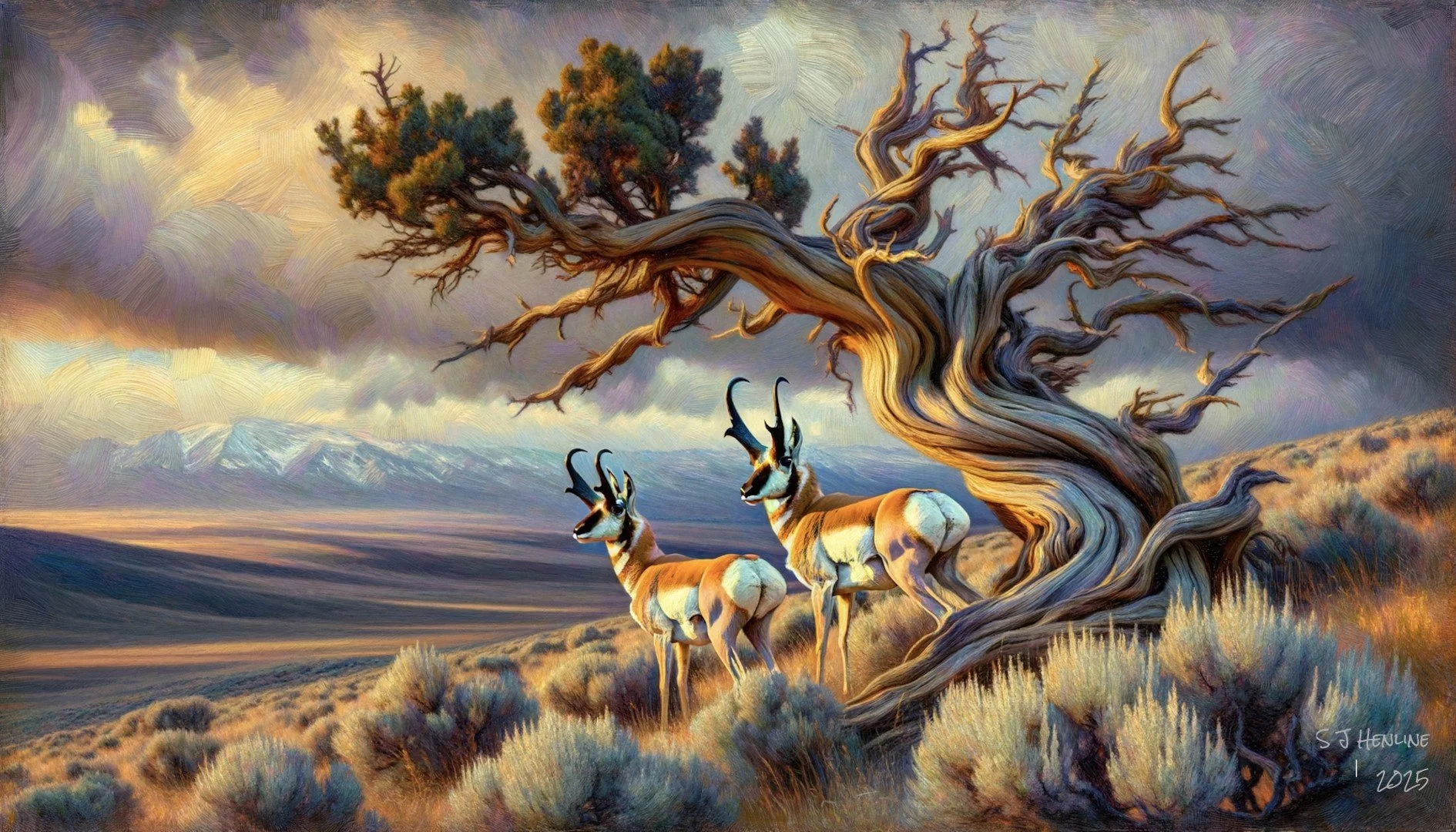 0048 Pronghorn (Large).jpg