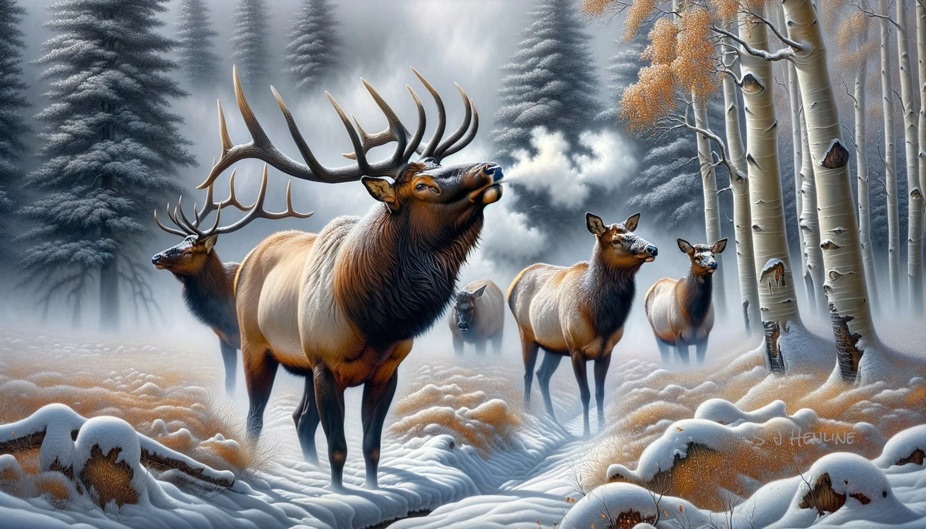 0088 winter elk  (Large).jpg