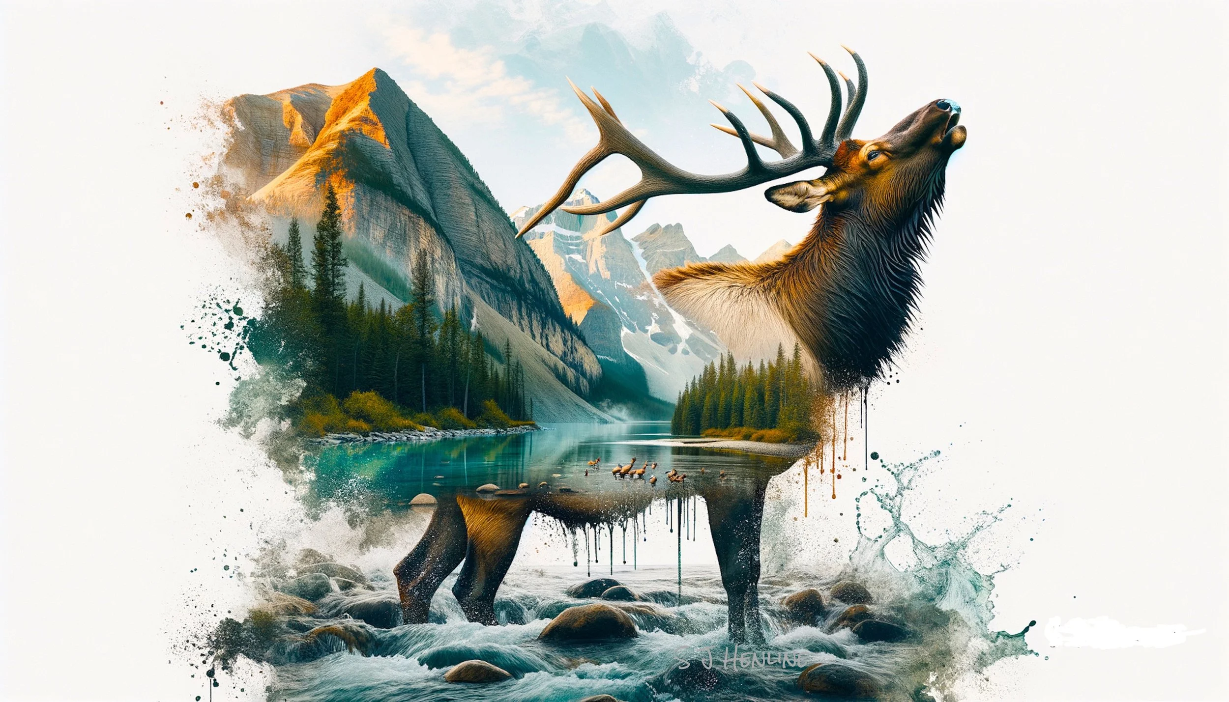 0066 de elk river.jpeg