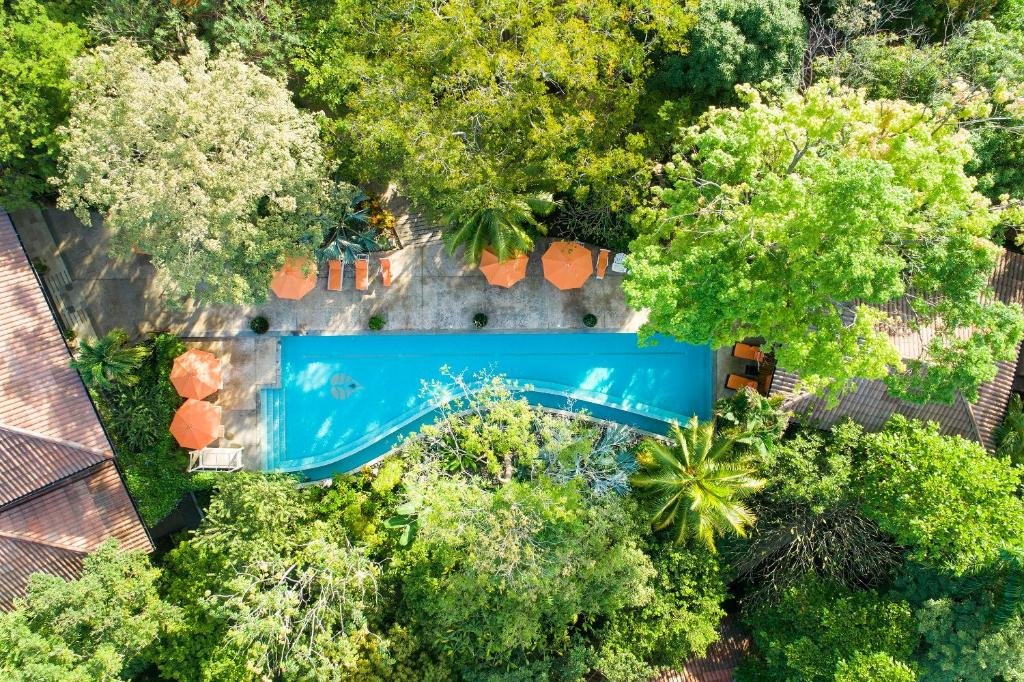 Jungle Grounds + Gardens