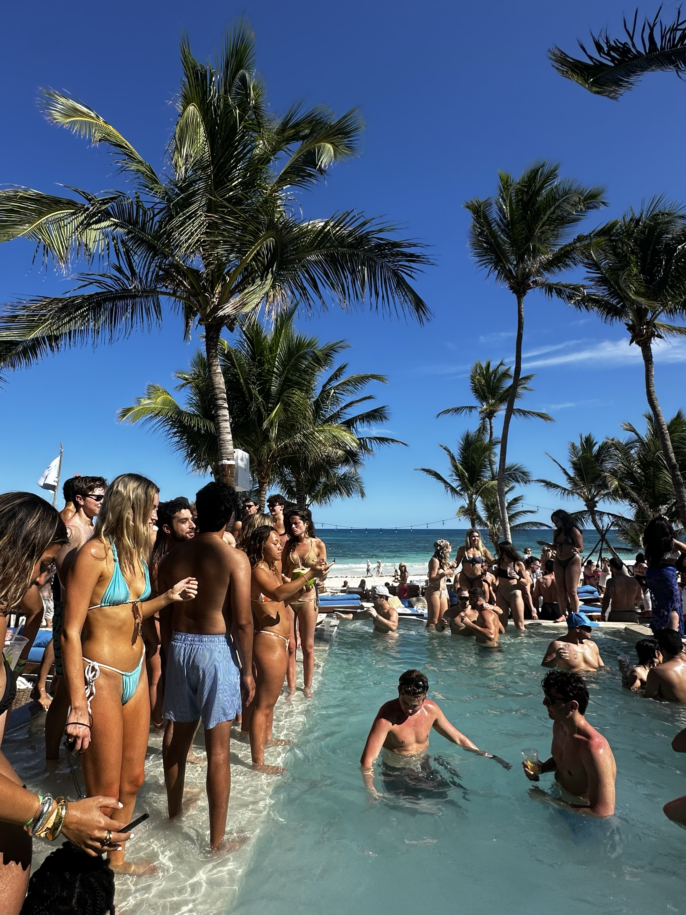 Crowd of people in swimsuits enjoying a pool and beach, with palm trees and blue sky in the background.
