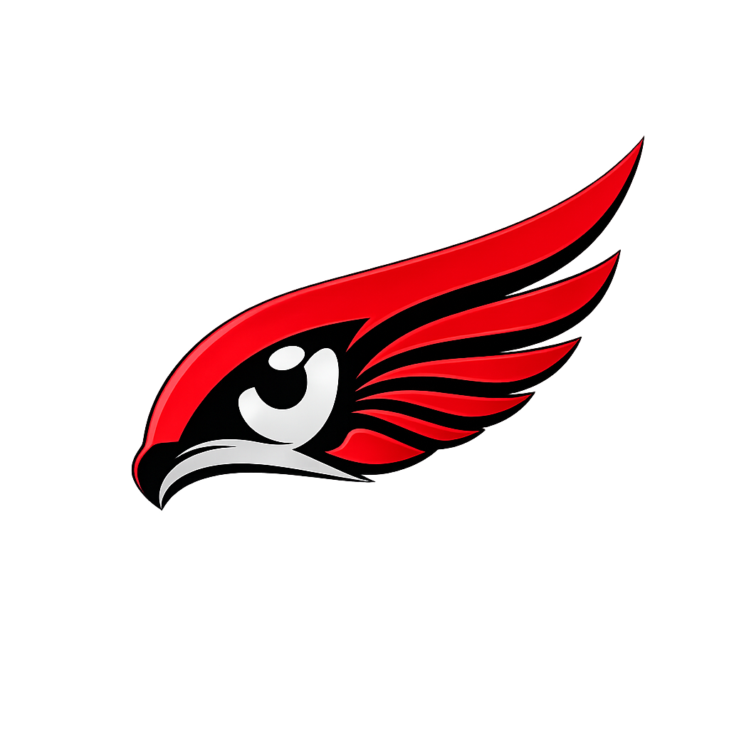 BIRDS EYE INVESTIGATIONS 