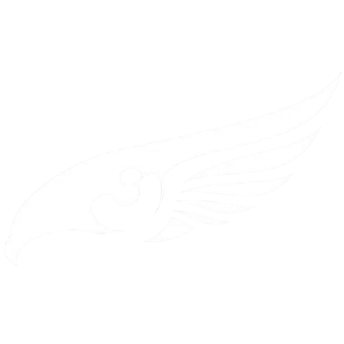 BIRDS EYE INVESTIGATIONS AND PROCESS SERVING