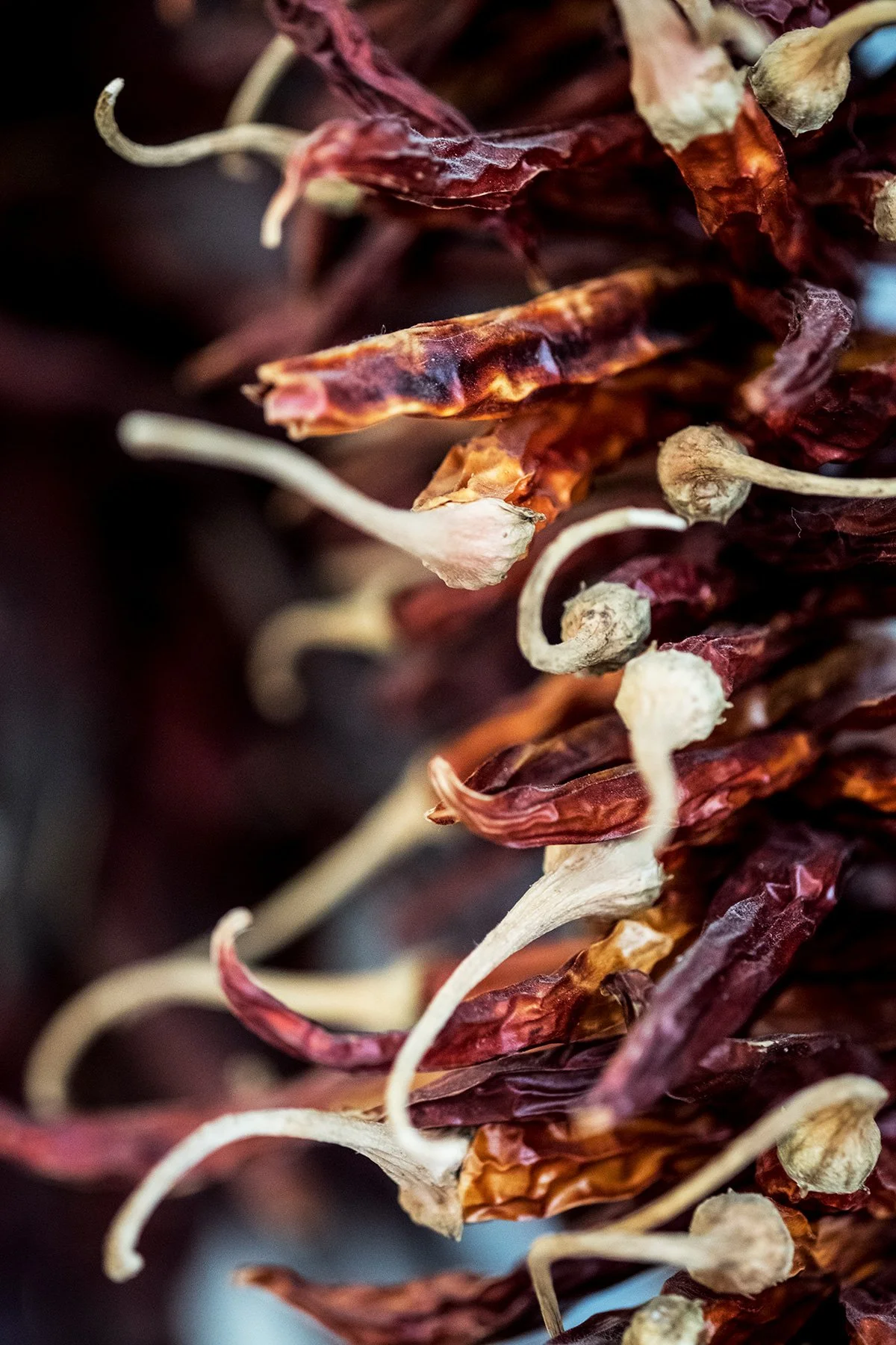 Chiles-Ramos-Chile-seco.jpg