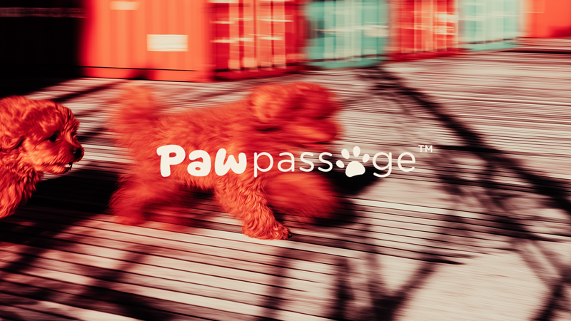 Two puppies on a metal platform with a blurred background, overlayed with the 'Pawpassage' logo.