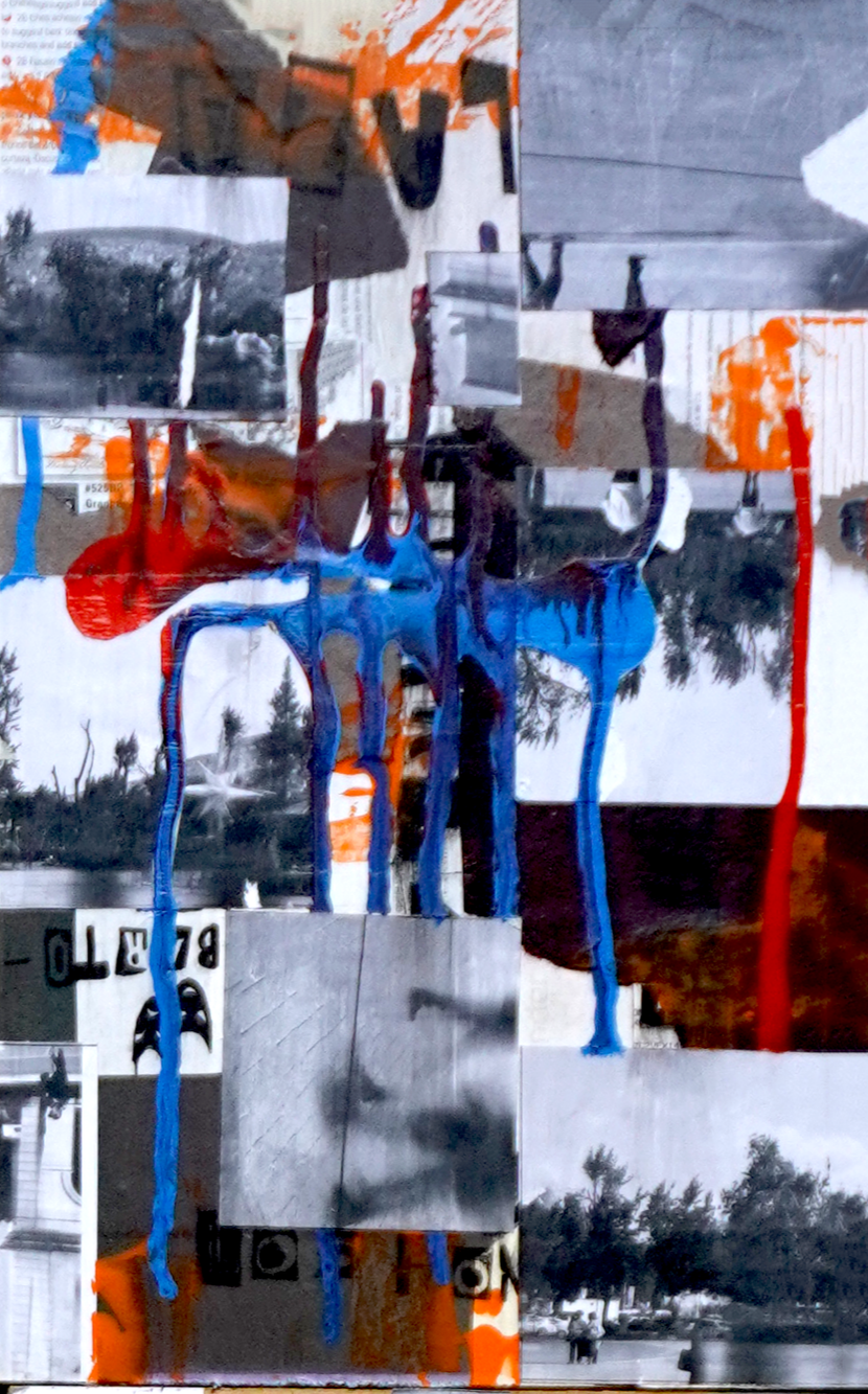 DSC00807.png