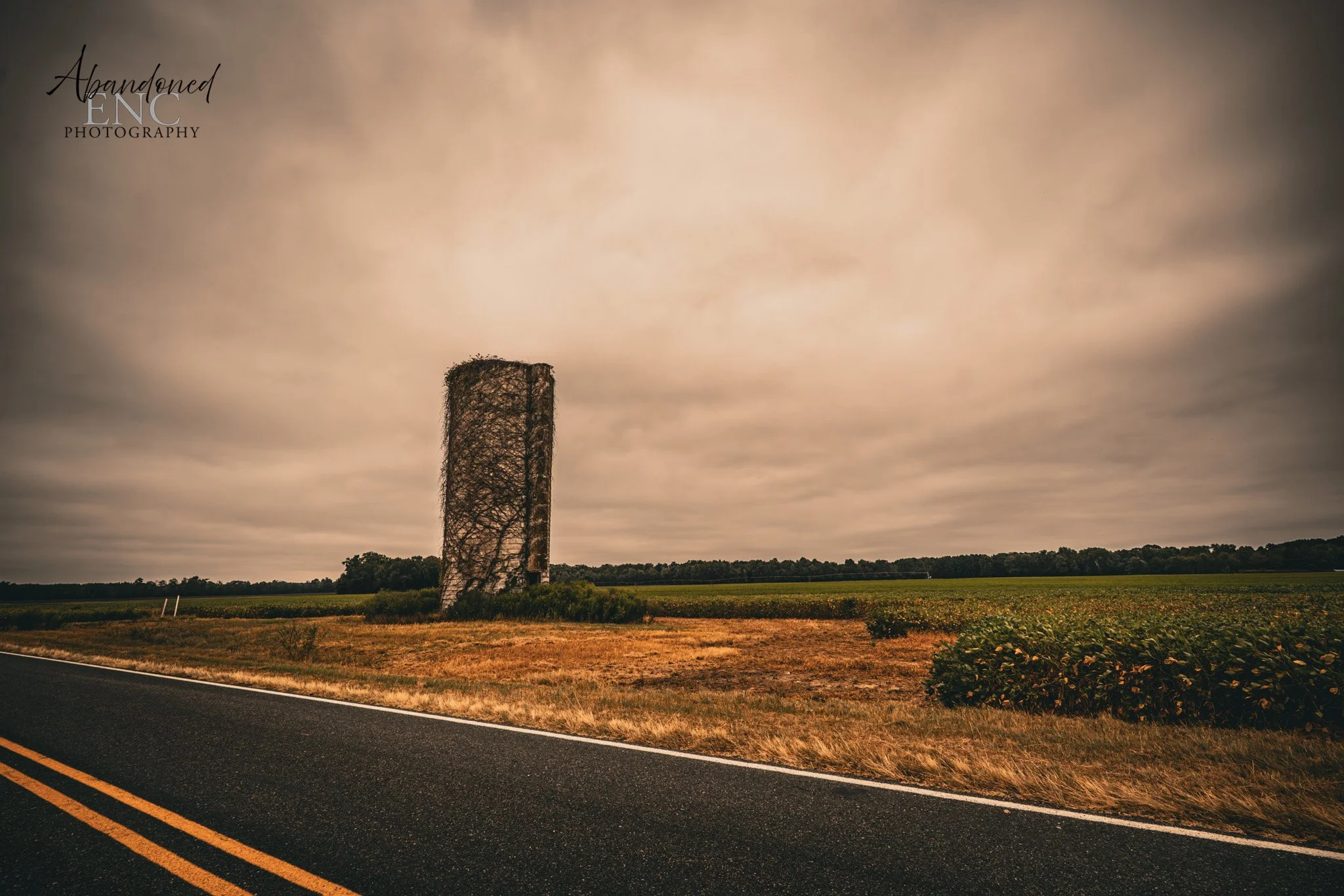 An abandoned silo overgrown with vines, beside an empty rural road with double yellow lines, on a cloudy day with a vast field in the background.