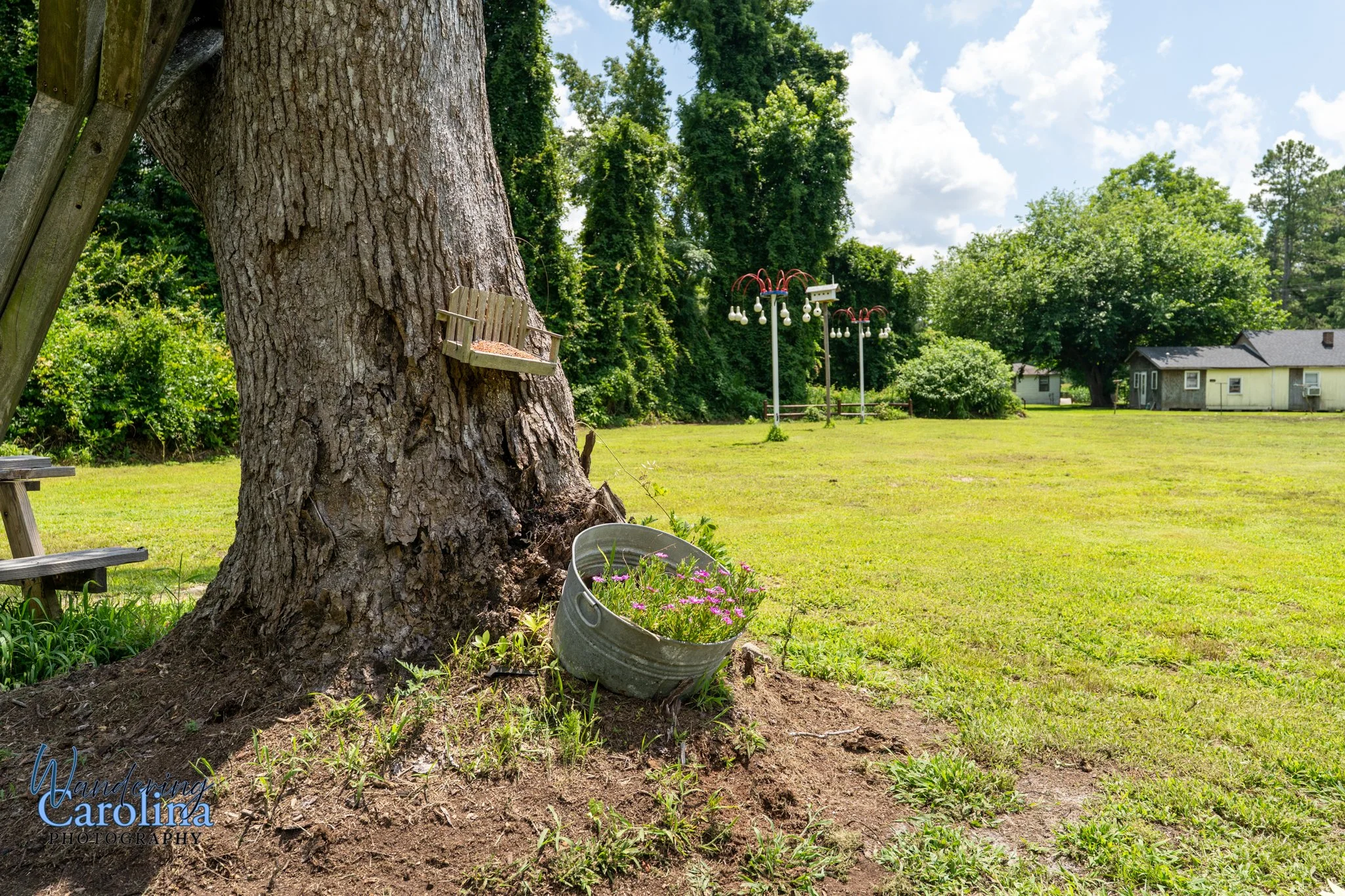 Jim Stewarts place-01.jpg