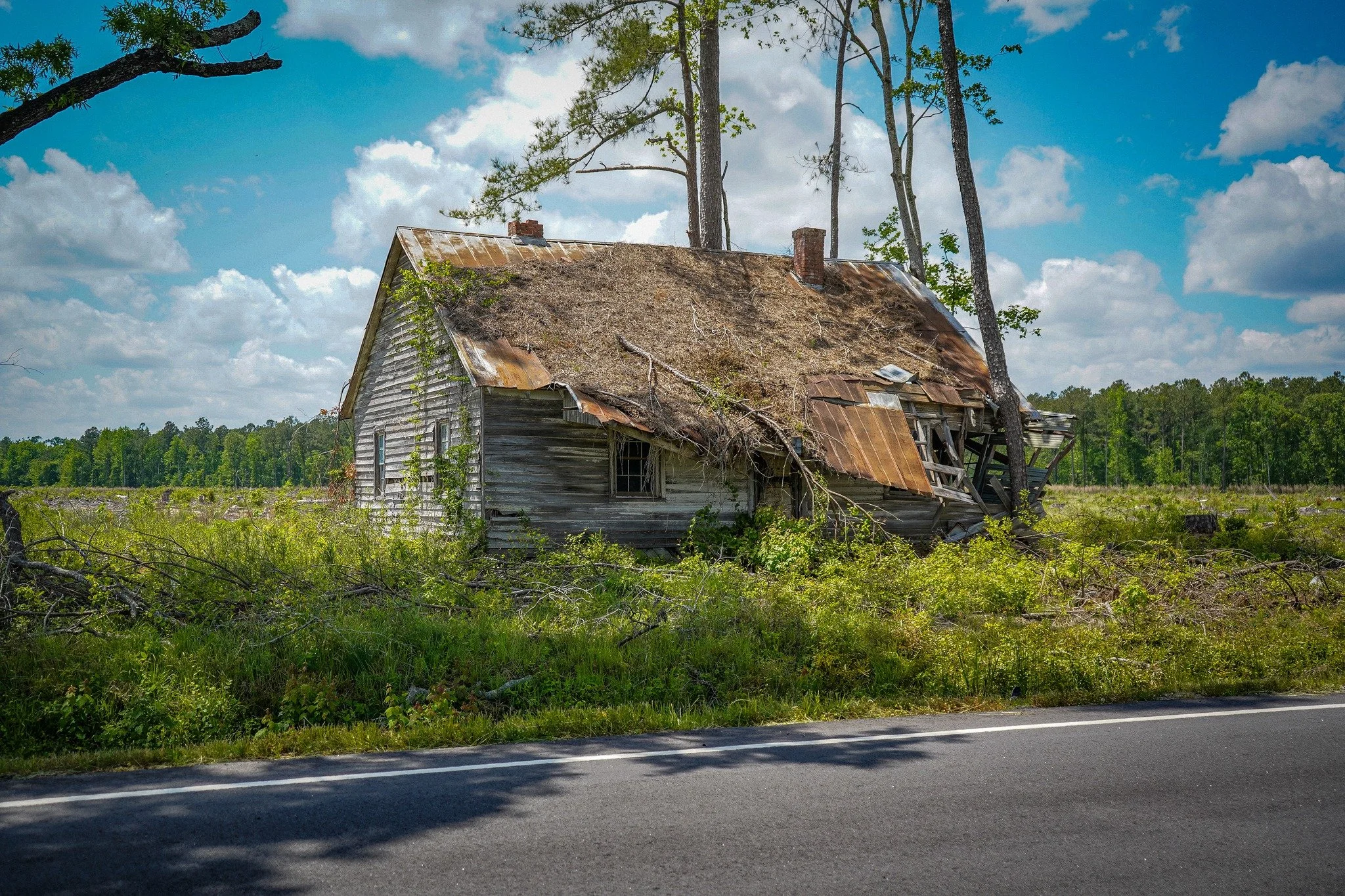 Lives on Borrowed Land: Tenant Farming and Sharecropping in Eastern North Carolina