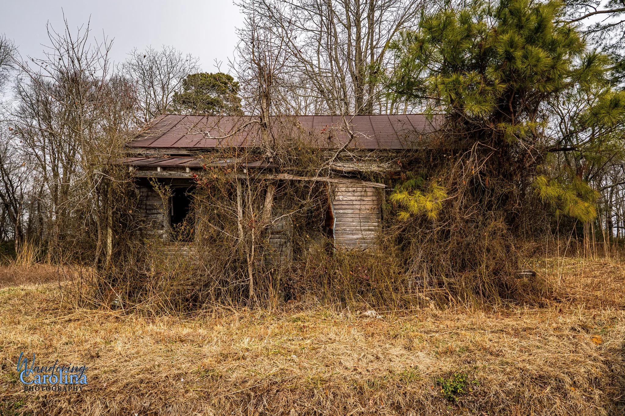 Wastonburg Greene.jpg