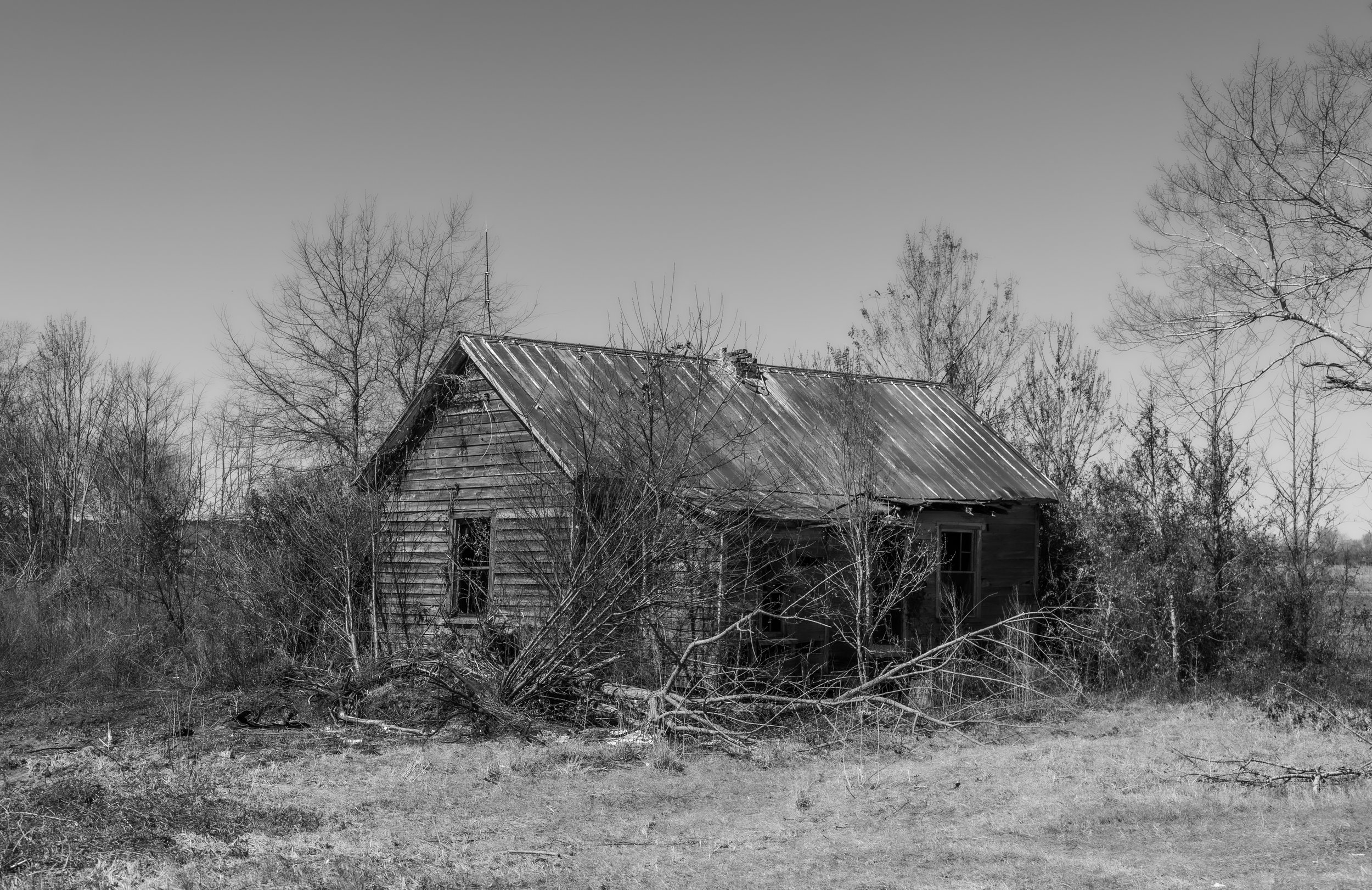 Edgecombe County.jpg