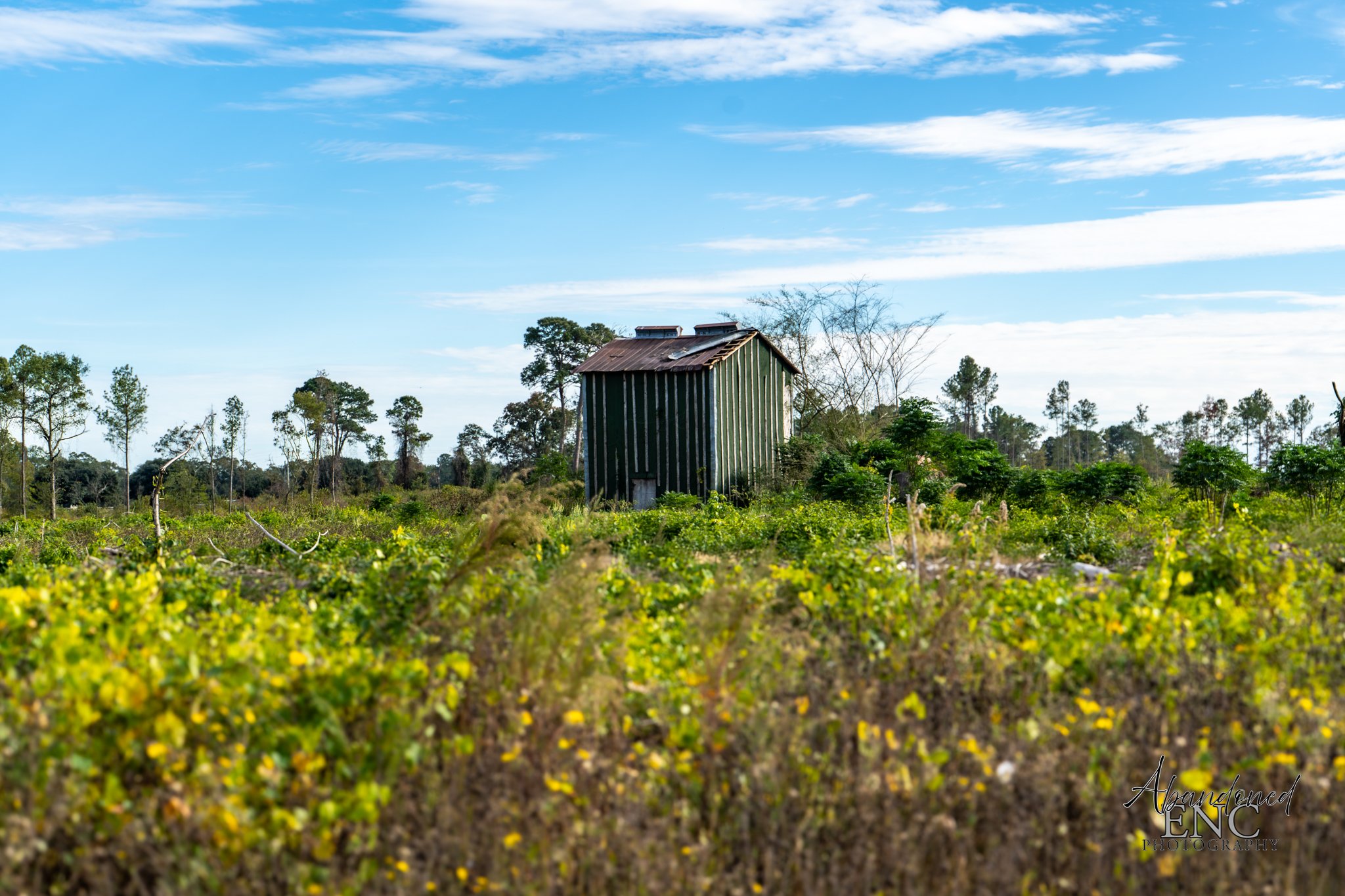 Revealed Lenoir County-06.jpg