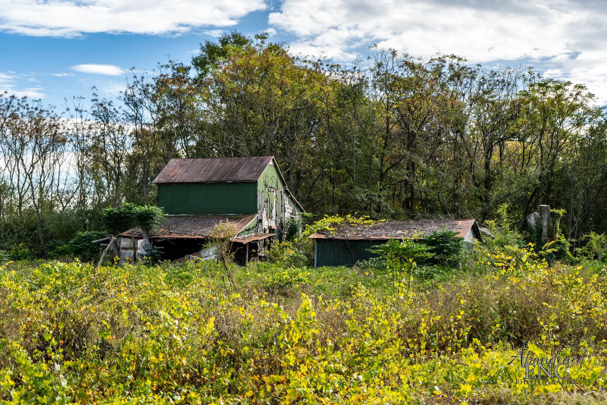 Revealed Lenoir County-05.jpg