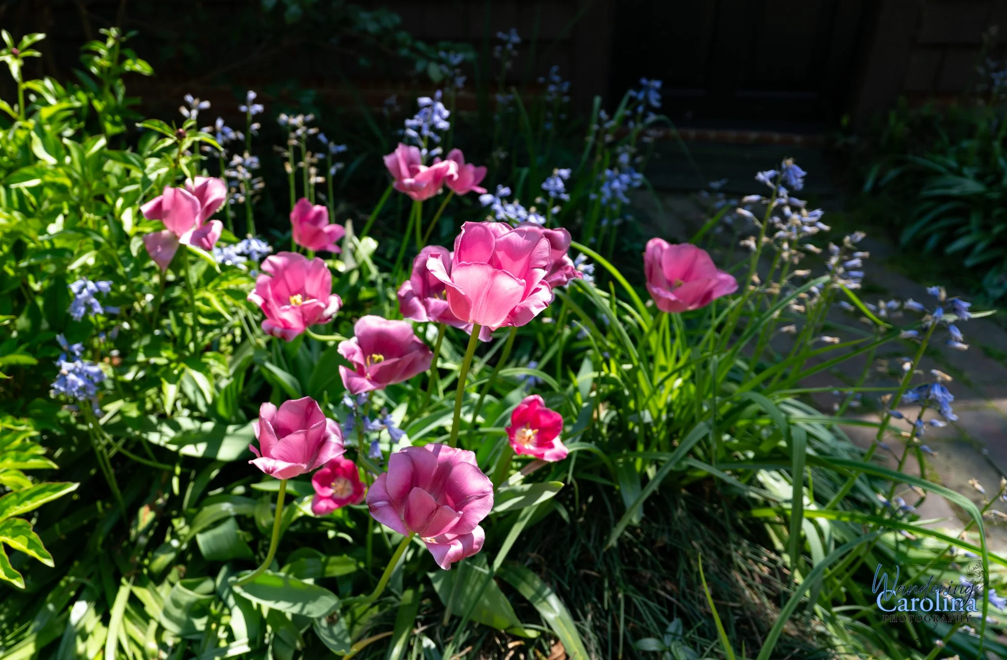 Elizabeth Bowen Henderson house-6.jpg