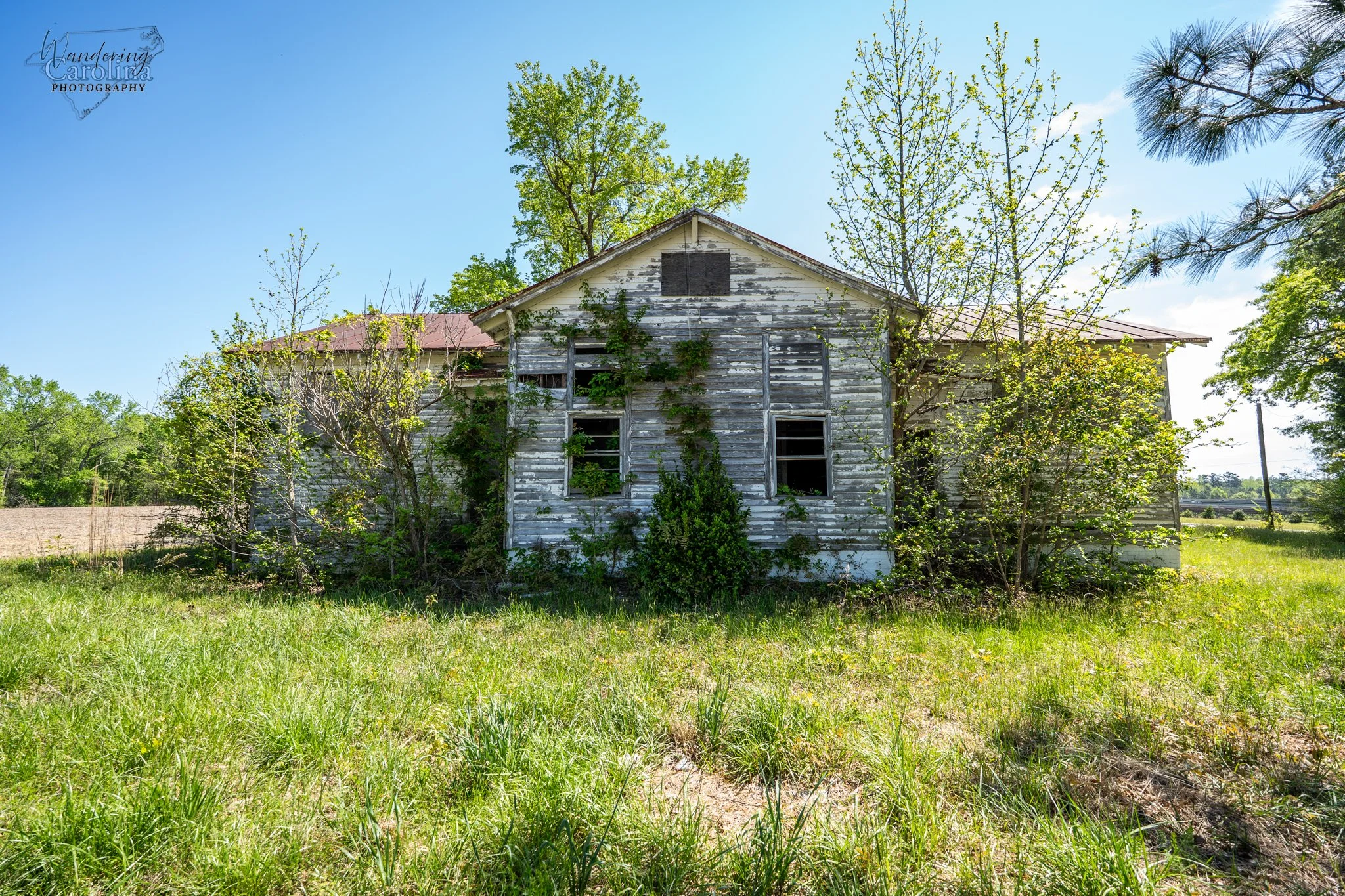Morgan School: A Lasting Legacy of Education in Nash County