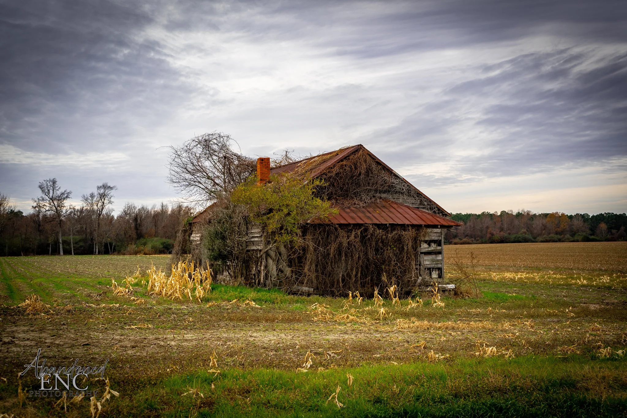 An abandoned wooden house with a rusted metal roof surrounded by fields and leafless trees, under a cloudy sky.