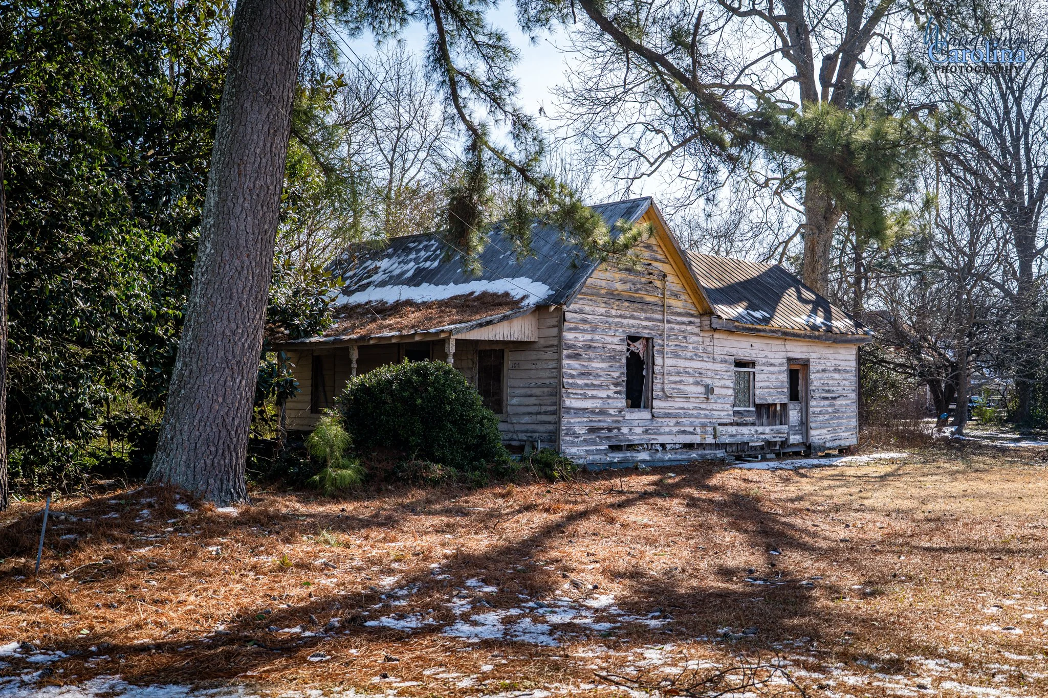 Whitakers downtown.jpg