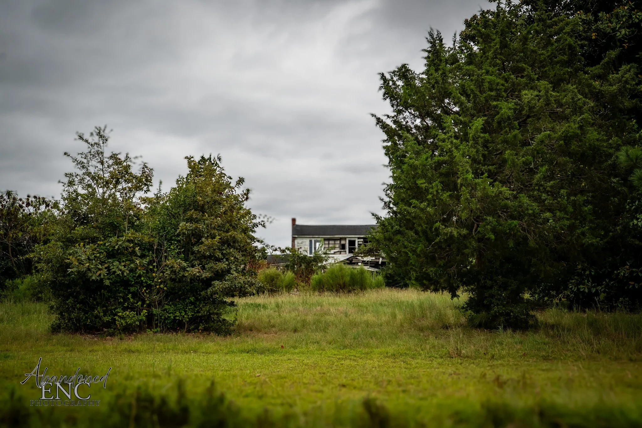 Overgrown yard with green grass and bushes in front of a deteriorating house on a cloudy day.