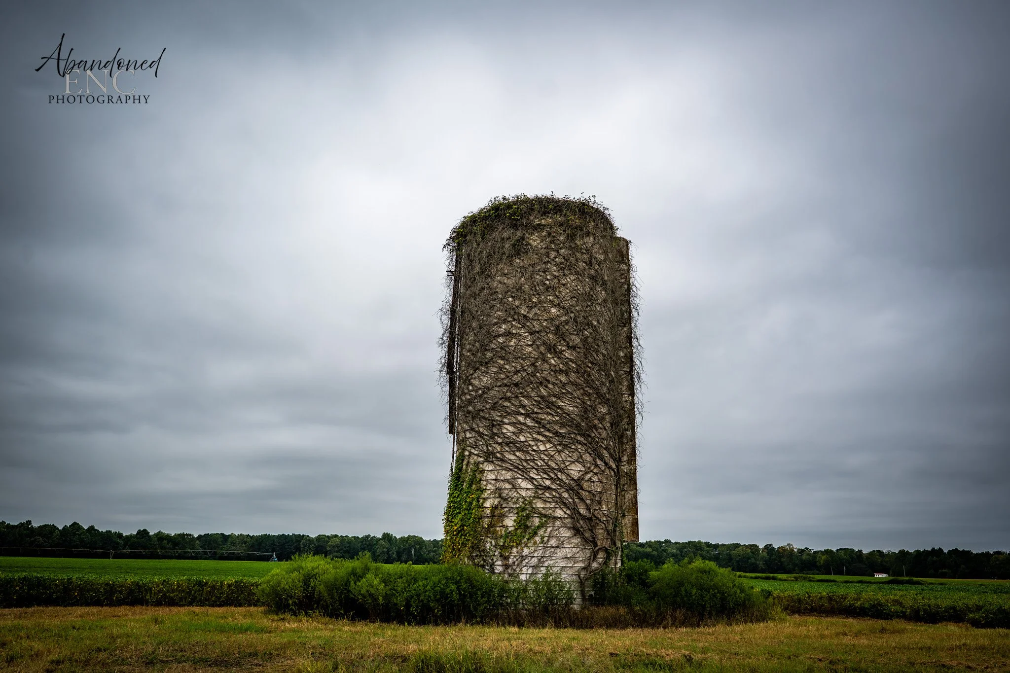 Old, abandoned silo covered with vines and moss in a rural field under a cloudy sky.