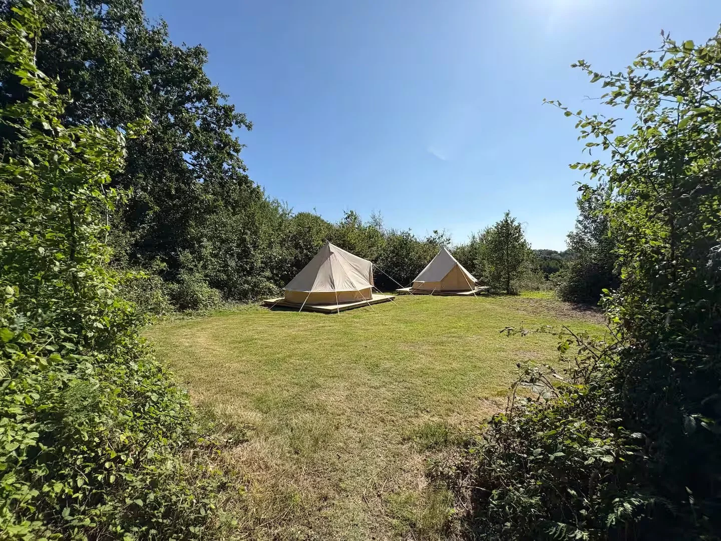 Two beige canvas tents set up on a grassy clearing surrounded by trees and bushes, under a clear blue sky.