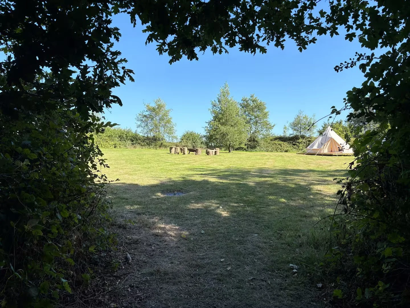 View of a campsite with a tent on a grassy field, surrounded by trees under a clear blue sky, seen from a shaded area.